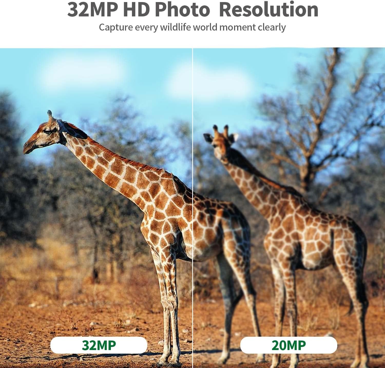2.4" LCD 32MP 4K IP66 Waterproof Deer Camera, Pack of 2 Z10029