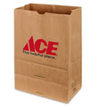 Paper Shopping Bag 500 Pk N75989