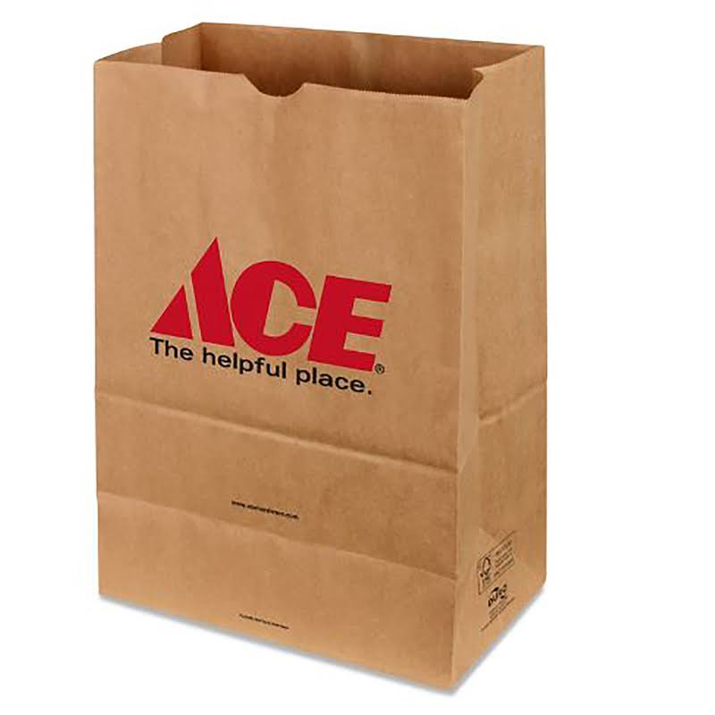 Paper Shopping Bag 500 Pk N75989
