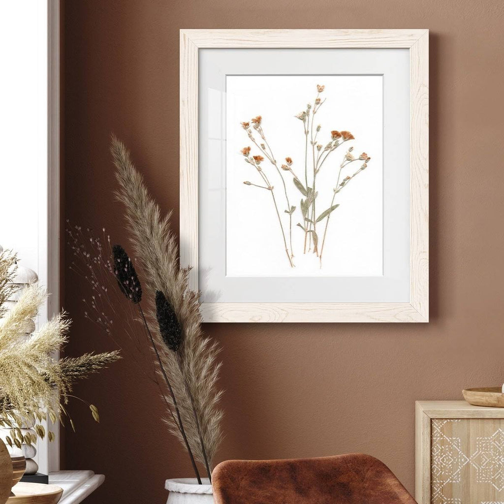 Framed Print O386