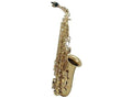 Alto Saxophone D69066