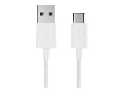 USB-A to USB-C Charge Cable - 10 ft P944272