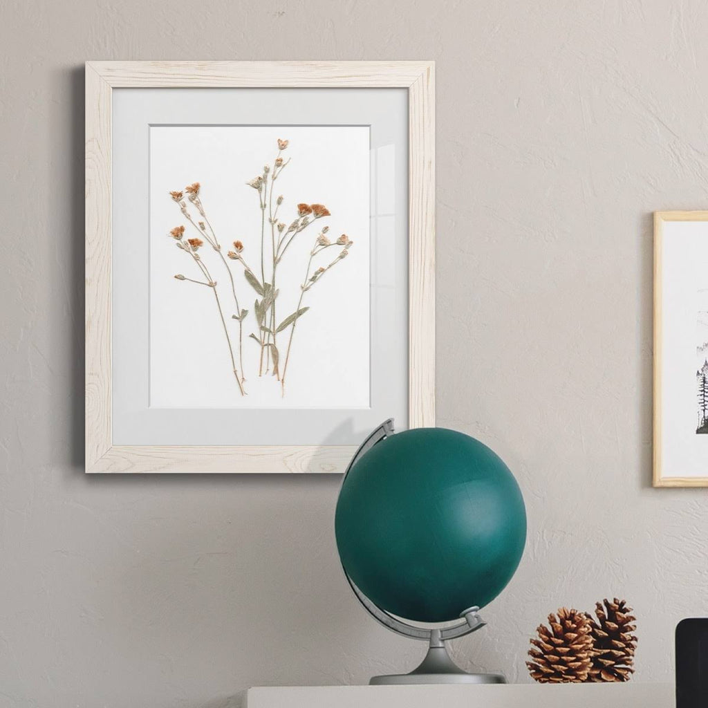 Framed Print O386