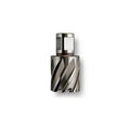 31mm x 2x22 HSS Annular Cutter with Weldon Shank Q8415