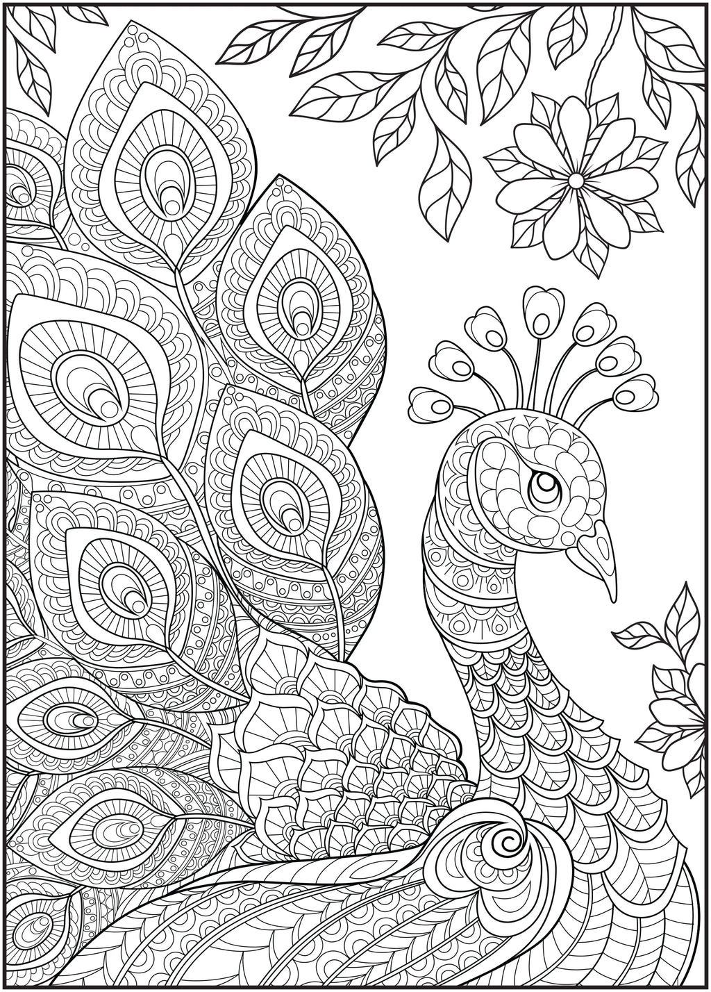 64 Pages Adult Coloring Book K923