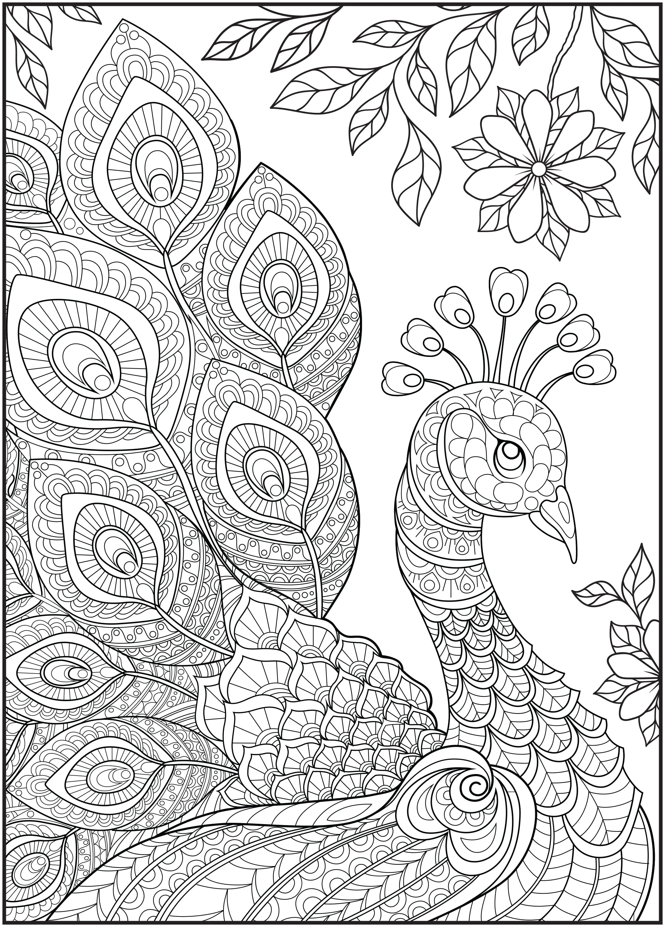 64 Pages Adult Coloring Book K923